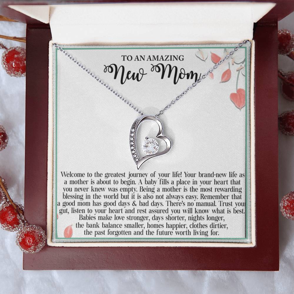 To An Amazing New Mom Welcome To The Greatest Journey Of Your Life Forever Love Necklace
