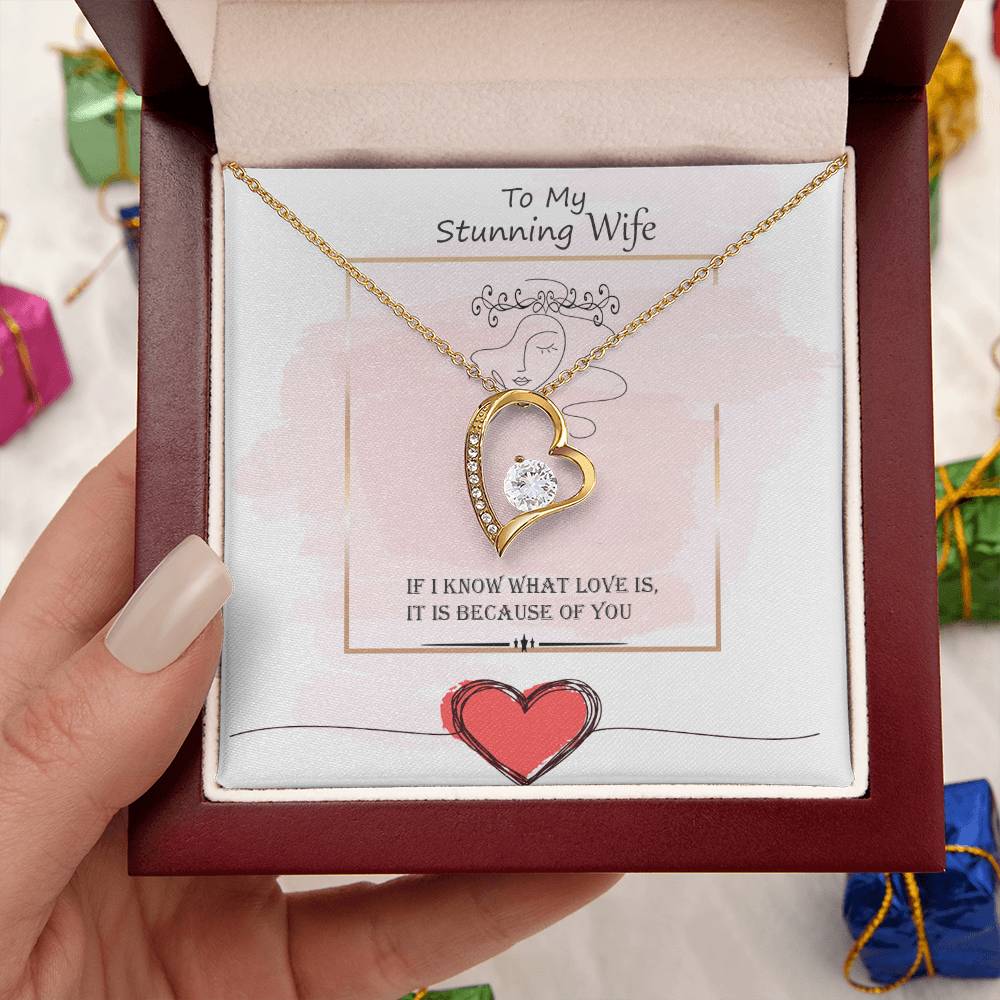 Gift For Wife - What Love Is - Necklace Forever Love Necklace
