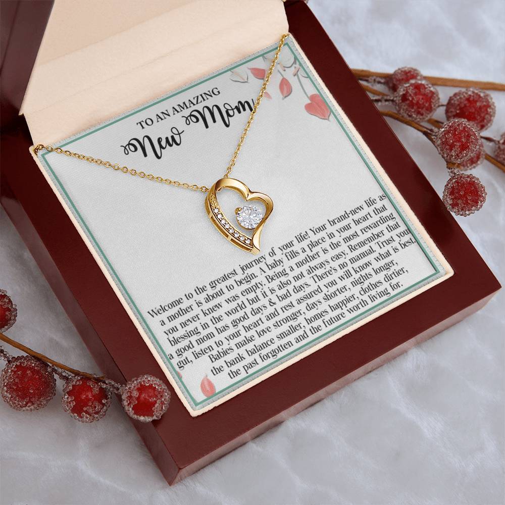 To An Amazing New Mom Welcome To The Greatest Journey Of Your Life Forever Love Necklace