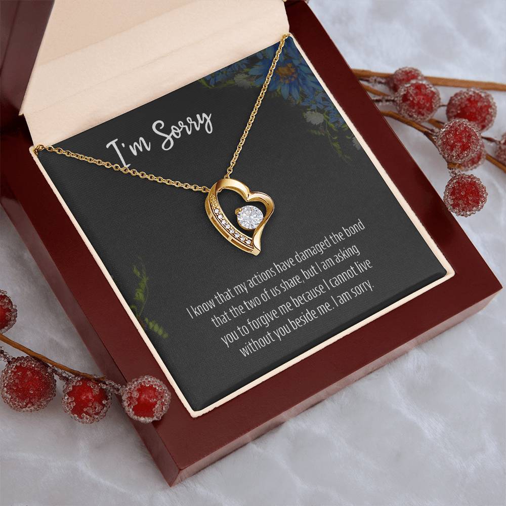 I Am Sorry 925 Sterling Silver Apology Pendant 1 Forever Love Necklace