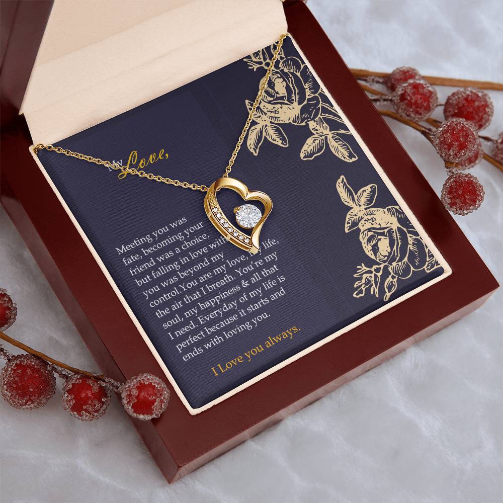 My Happiness Offer Forever Love Necklace