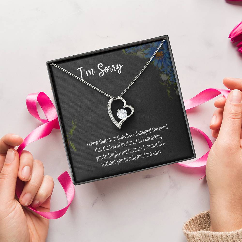 I Am Sorry 925 Sterling Silver Apology Pendant 1 Forever Love Necklace