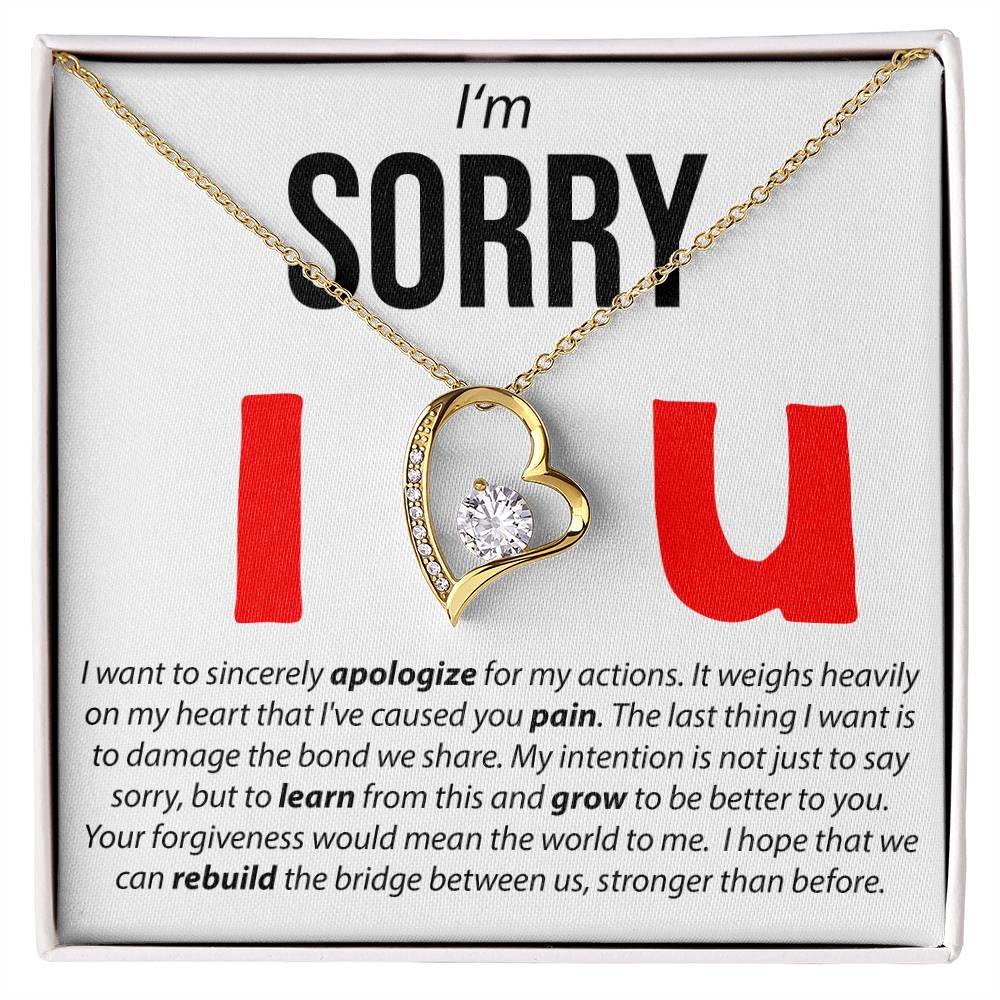 I'M Sorry, I Sincerely Apologize - Forever Love Necklace Forever Love Necklace