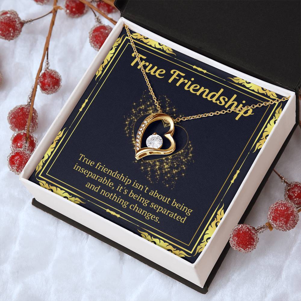 True Friendship Gift Forever Love Necklace