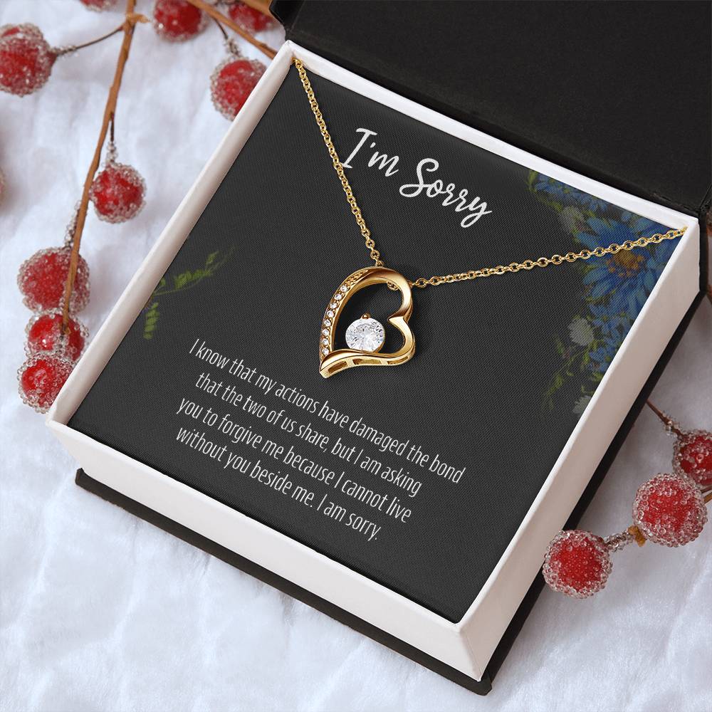 I Am Sorry 925 Sterling Silver Apology Pendant 1 Forever Love Necklace