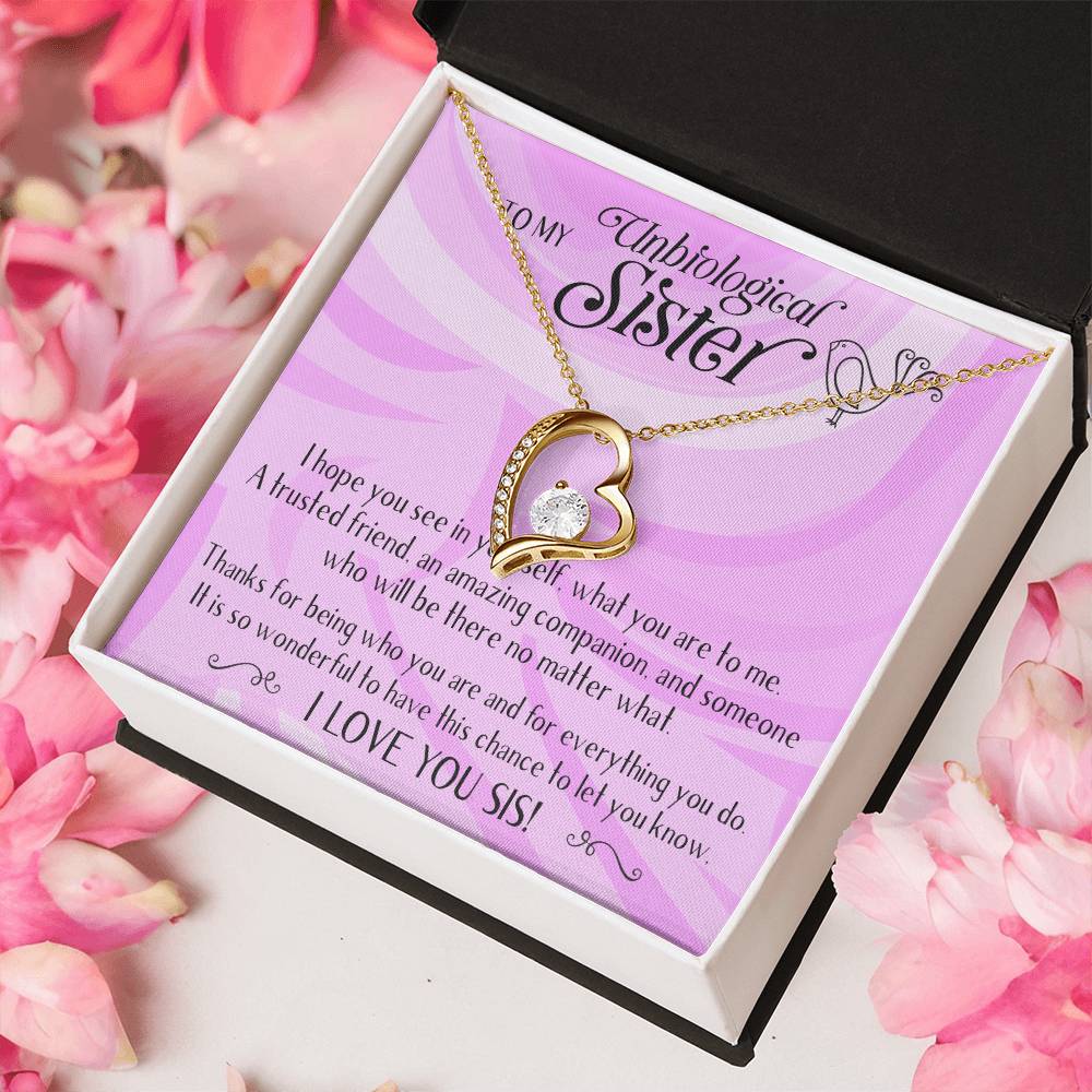 Unbiological Sisters Necklace Bonus Sister Soul Sister Best Friend Sister In Law Step Sister Gifts For Her 1 Forever Love Necklace