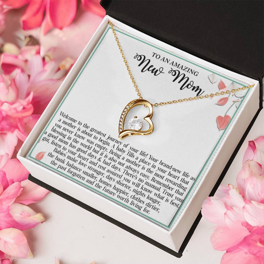 To An Amazing New Mom Welcome To The Greatest Journey Of Your Life Forever Love Necklace