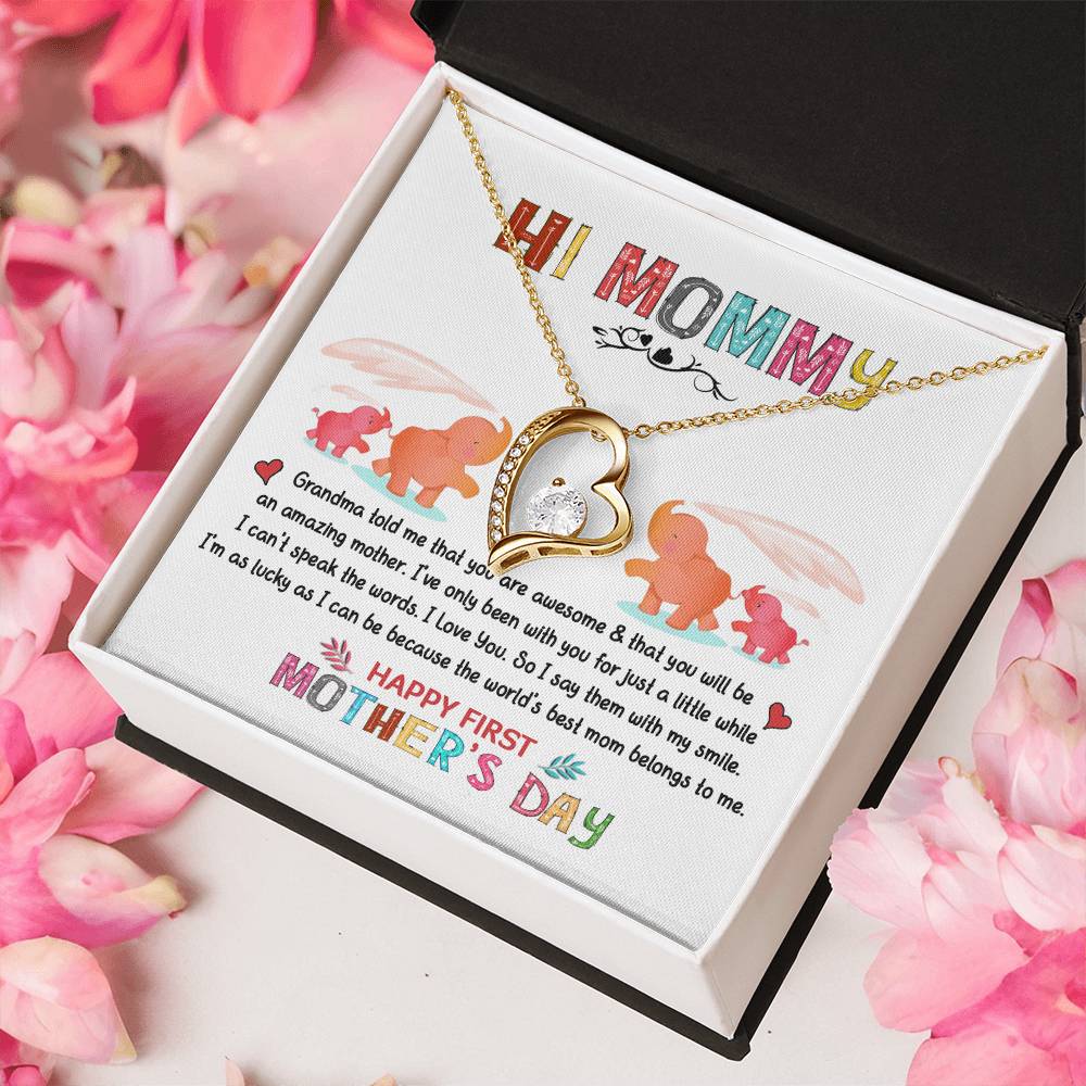 Hi Mommy Grandma Told Me That You Are Awesome Happy Mothers Day Mom Gifts From Daughter Gift For Mom From Daughter Forever Love Necklace