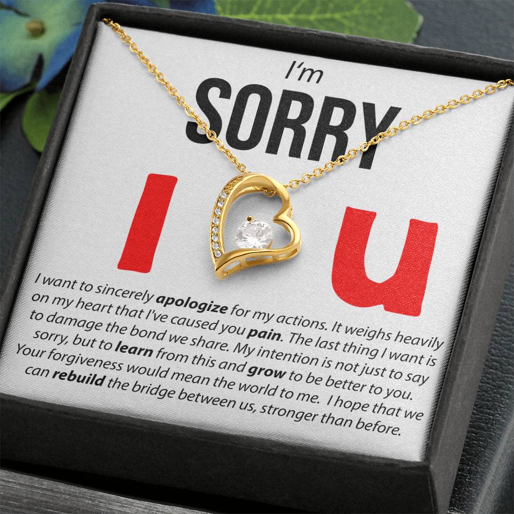 I'M Sorry, I Sincerely Apologize - Forever Love Necklace Forever Love Necklace