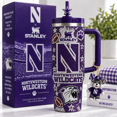 Northwestern Wildcat Aurora 40oz Tumbler