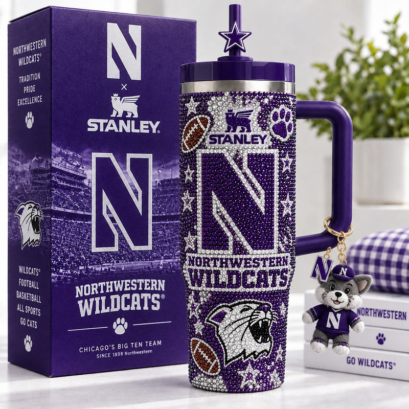 Northwestern Wildcat Aurora 40oz Tumbler