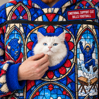 Buffalo Stained Glass Cat Pouch Hoodie