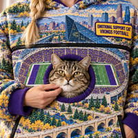 Minneapolis Aerial Stadium Cat Pouch Hoodie