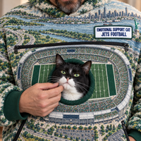 New York Aerial Stadium Cat Pouch Hoodie