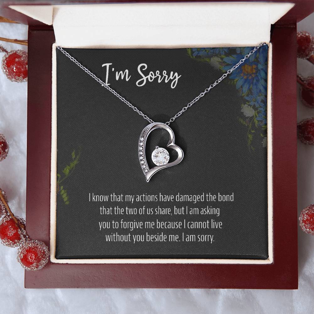 I Am Sorry 925 Sterling Silver Apology Pendant 1 Forever Love Necklace