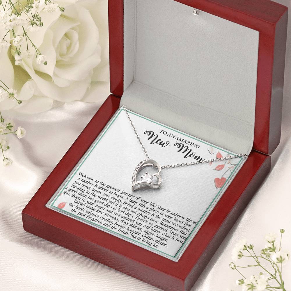 To An Amazing New Mom Welcome To The Greatest Journey Of Your Life Forever Love Necklace