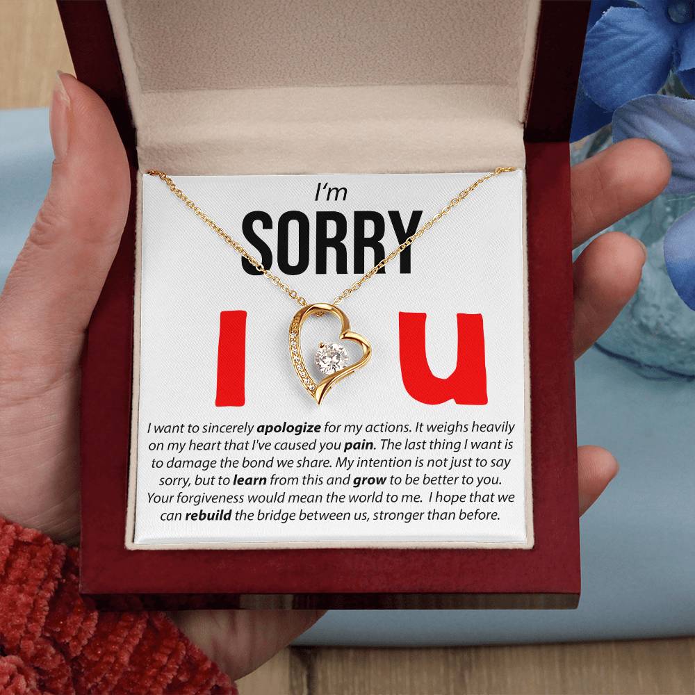 I'M Sorry, I Sincerely Apologize - Forever Love Necklace Forever Love Necklace