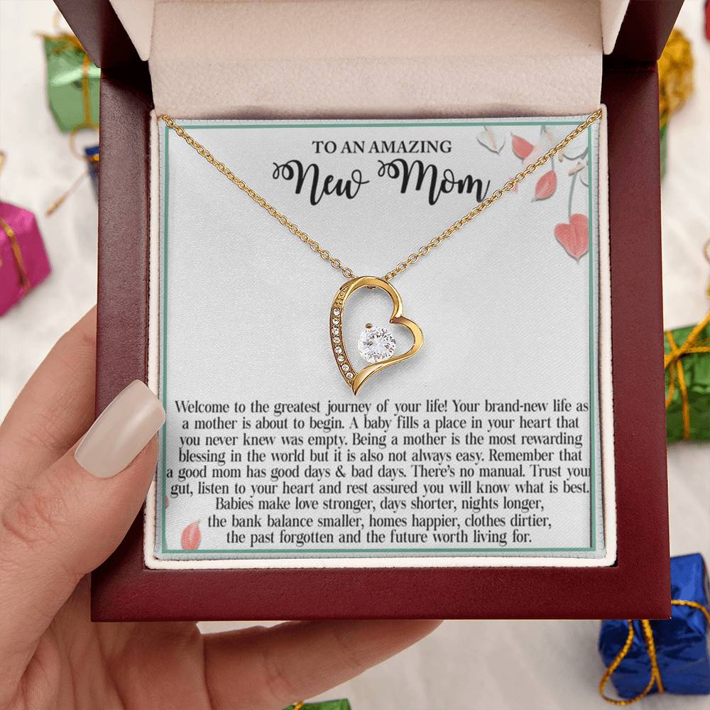 To An Amazing New Mom Welcome To The Greatest Journey Of Your Life Forever Love Necklace