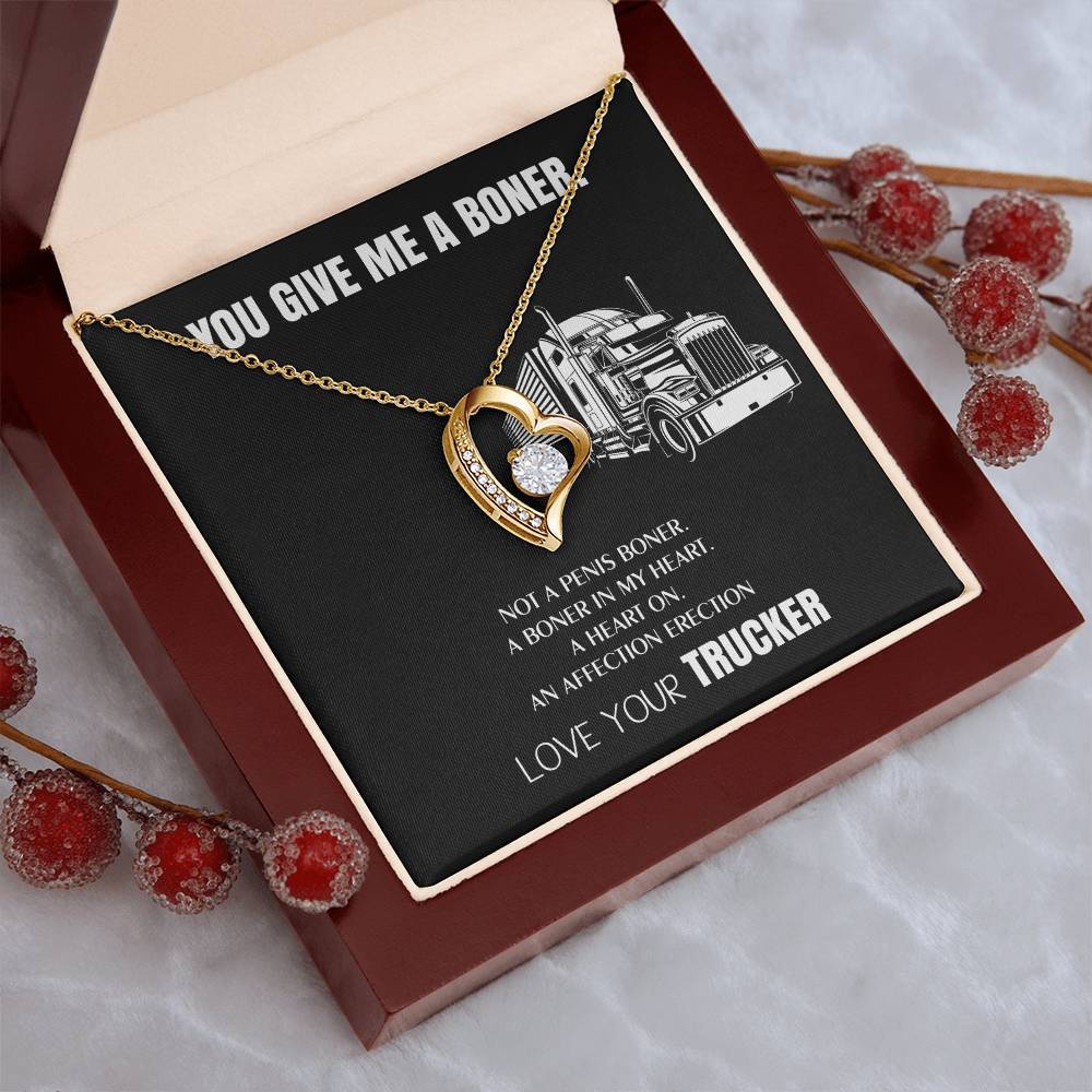 You Give Me A Heart Boner An Affection Erection Funny & Sarcastic Love For Her ♥ Mature Gag Gift For Truck Drivers Wife 1 Forever Love Necklace