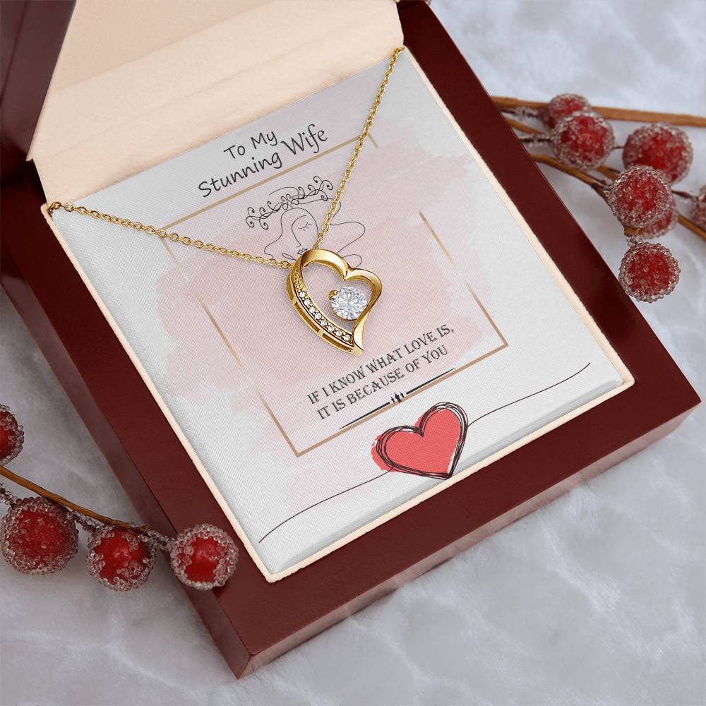 Gift For Wife - What Love Is - Necklace Forever Love Necklace