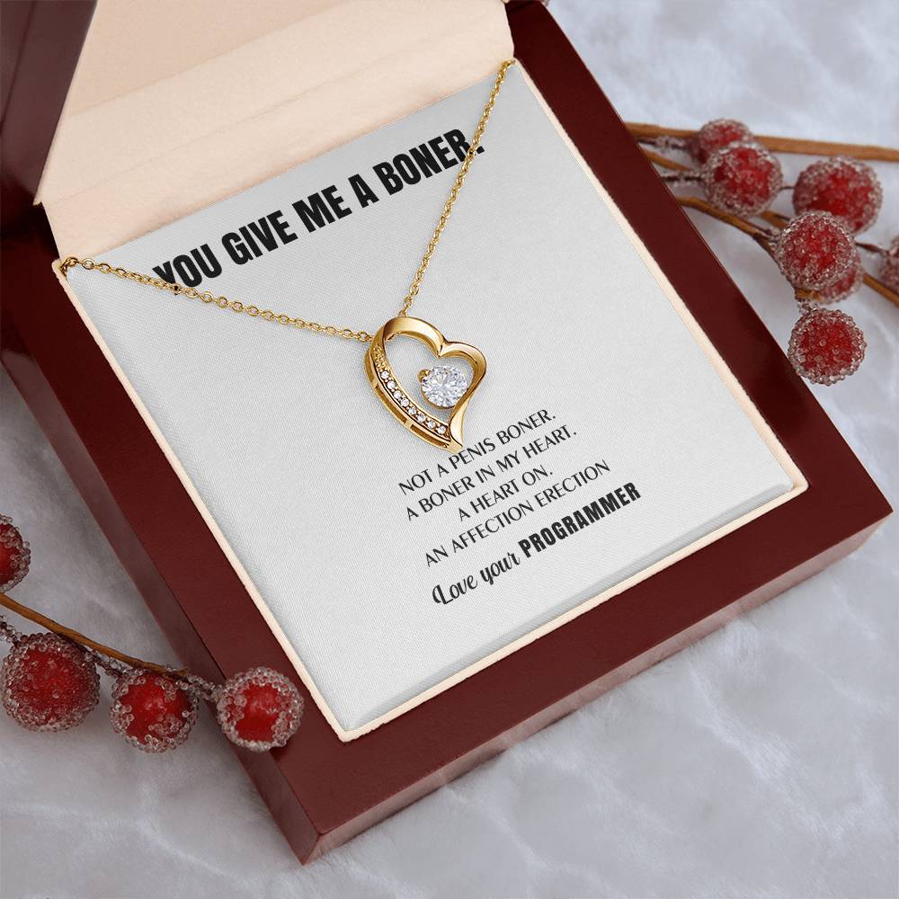 You Give Me A Heart Boner An Affection Erection Funny & Sarcastic Love For Her ♥ Mature Best Funny Gag Gifts For Programmer Wife On Special Days Forever Love Necklace