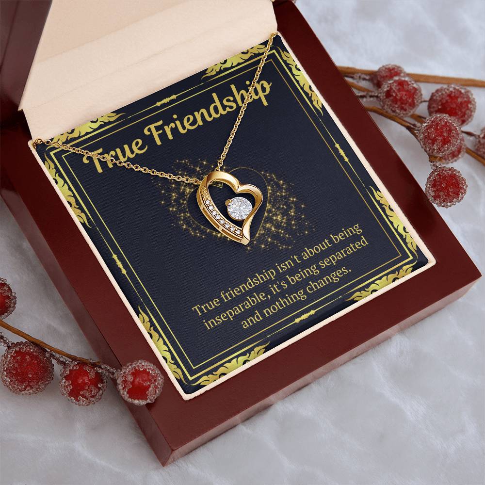 True Friendship Gift Forever Love Necklace