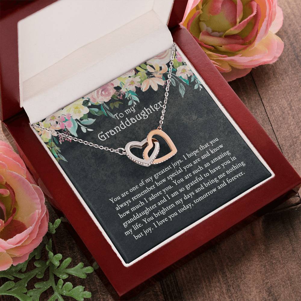 Granddaughter Gift Granddaughter Necklace Gift For Grandchild Granddaughter Jewelry Birthday Gift Interlocking Hearts Necklace
