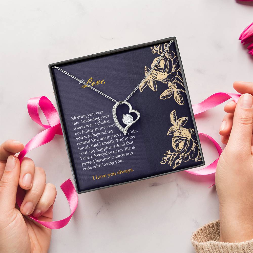 My Happiness Offer Forever Love Necklace