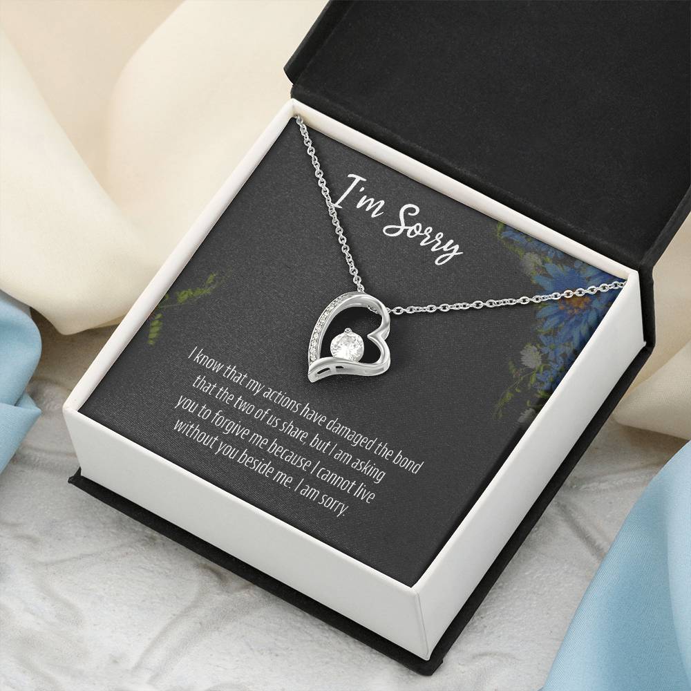 I Am Sorry 925 Sterling Silver Apology Pendant 1 Forever Love Necklace