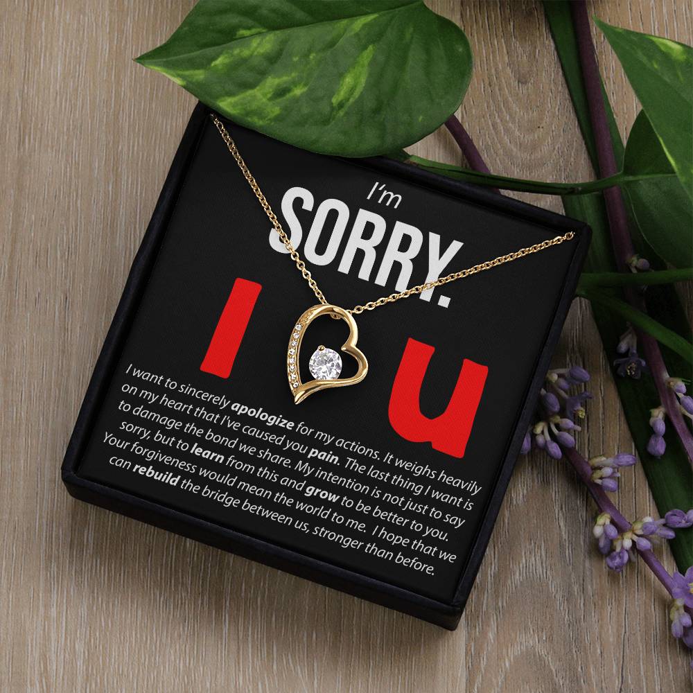 I'M Sorry. I Love You - Forever Love Necklace Forever Love Necklace