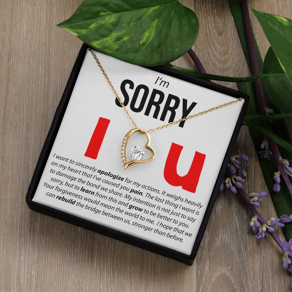 I'M Sorry, I Sincerely Apologize - Forever Love Necklace Forever Love Necklace