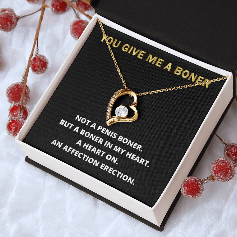 You Give Me A Heart Boner An Affection Erection Funny & Sarcastic Love For Her Mature Gift 1 Forever Love Necklace