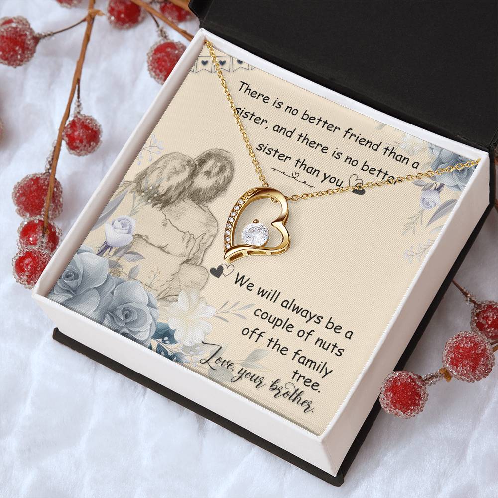 There Is No Better Friend Than A Sister And There Is No Better Sister Than You Forever Love Necklace