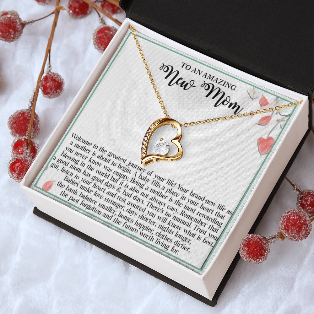 To An Amazing New Mom Welcome To The Greatest Journey Of Your Life Forever Love Necklace