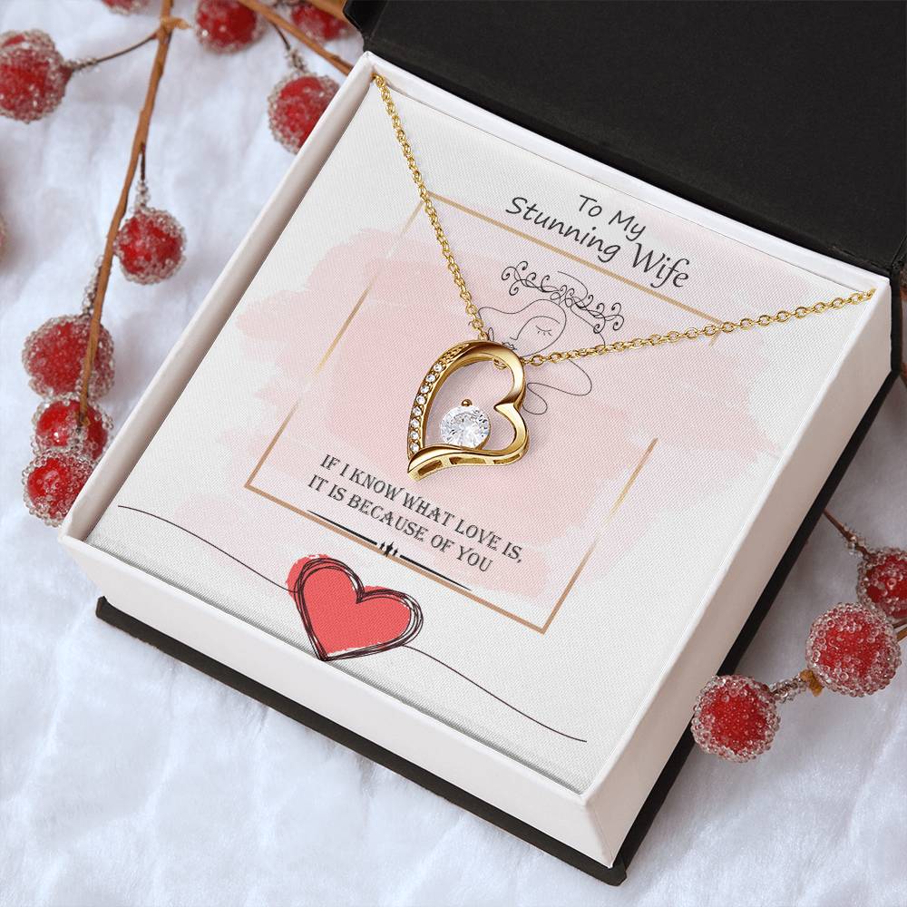 Gift For Wife - What Love Is - Necklace Forever Love Necklace