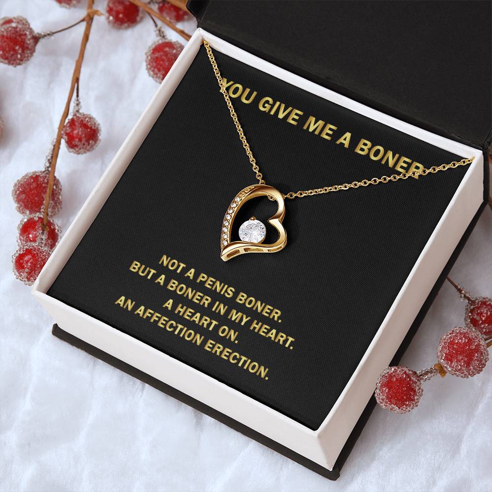 You Give Me A Heart Boner An Affection Erection Pendant Necklace Funny & Sarcastic Love For Her Mature Gift 1 Forever Love Necklace