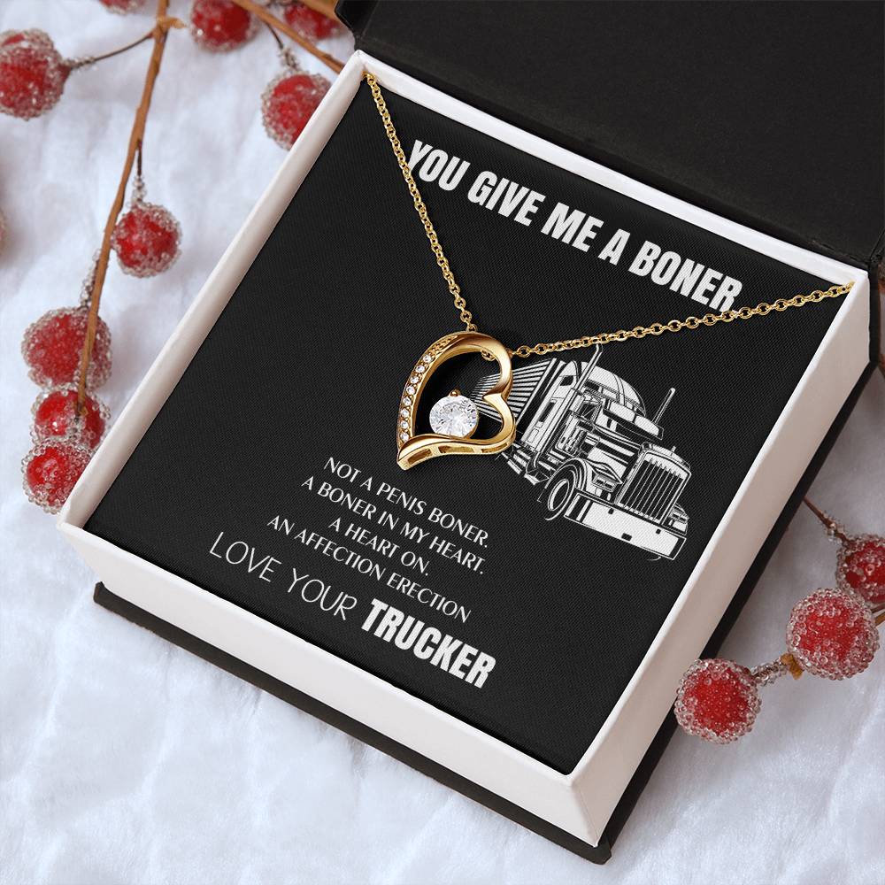 You Give Me A Heart Boner An Affection Erection Funny & Sarcastic Love For Her ♥ Mature Gag Gift For Truck Drivers Wife 1 Forever Love Necklace