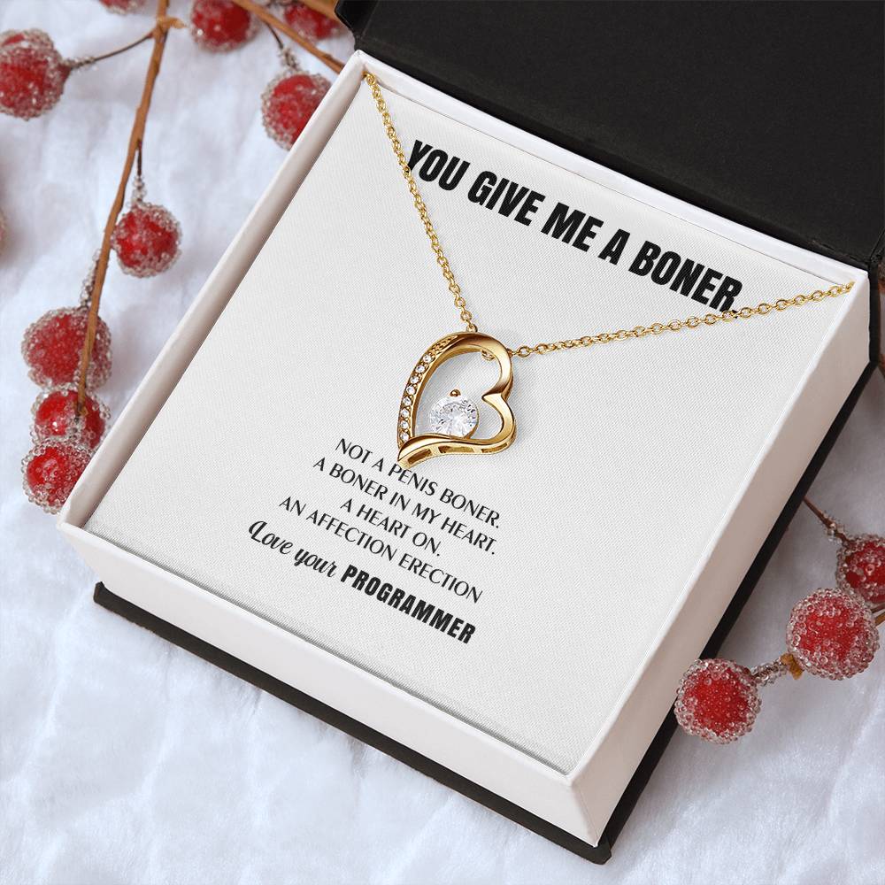 You Give Me A Heart Boner An Affection Erection Funny & Sarcastic Love For Her ♥ Mature Best Funny Gag Gifts For Programmer Wife On Special Days Forever Love Necklace