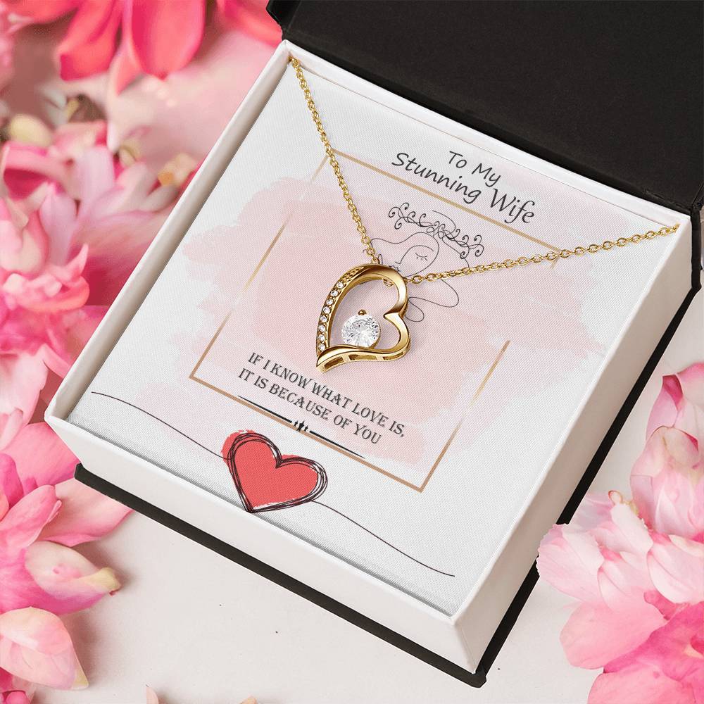 Gift For Wife - What Love Is - Necklace Forever Love Necklace