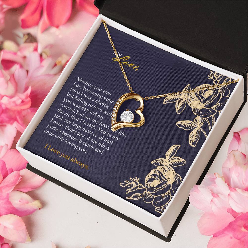 My Happiness Offer Forever Love Necklace