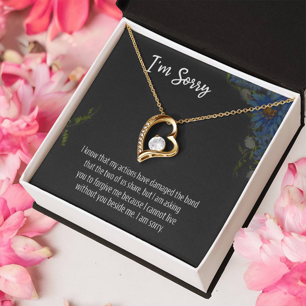 I Am Sorry 925 Sterling Silver Apology Pendant 1 Forever Love Necklace