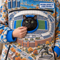 Detroit Aerial Stadium Cat Pouch Hoodie